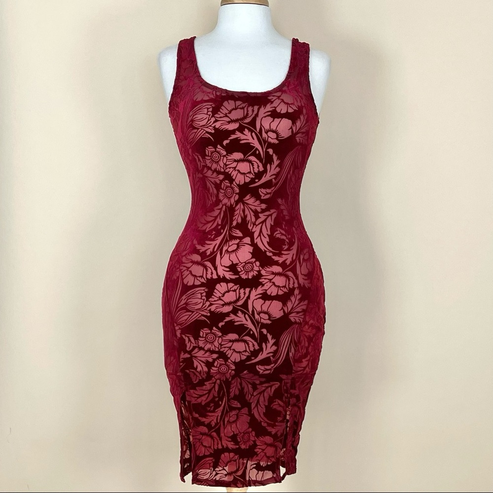 Wine Velvet Sheer Dress